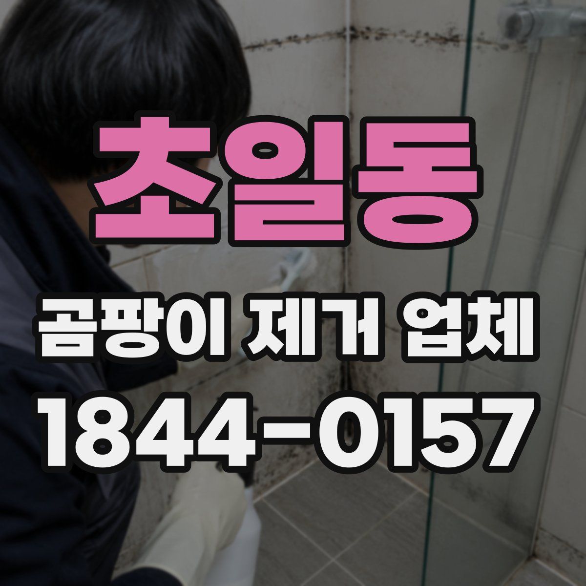 초일동 곰팡이 제거 업체