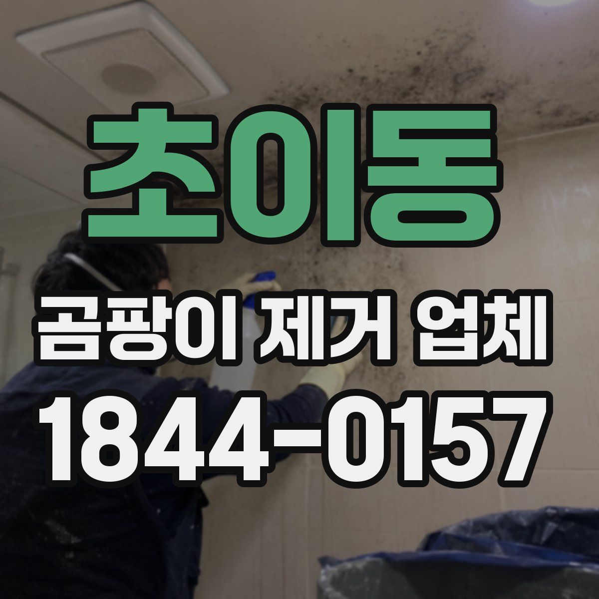 초이동 곰팡이 제거 업체