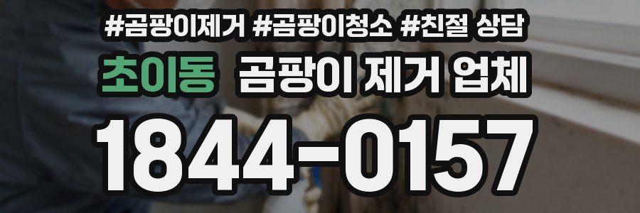초이동 곰팡이 제거 업체