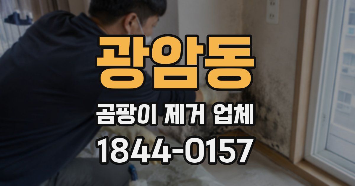 광암동 곰팡이 제거 업체