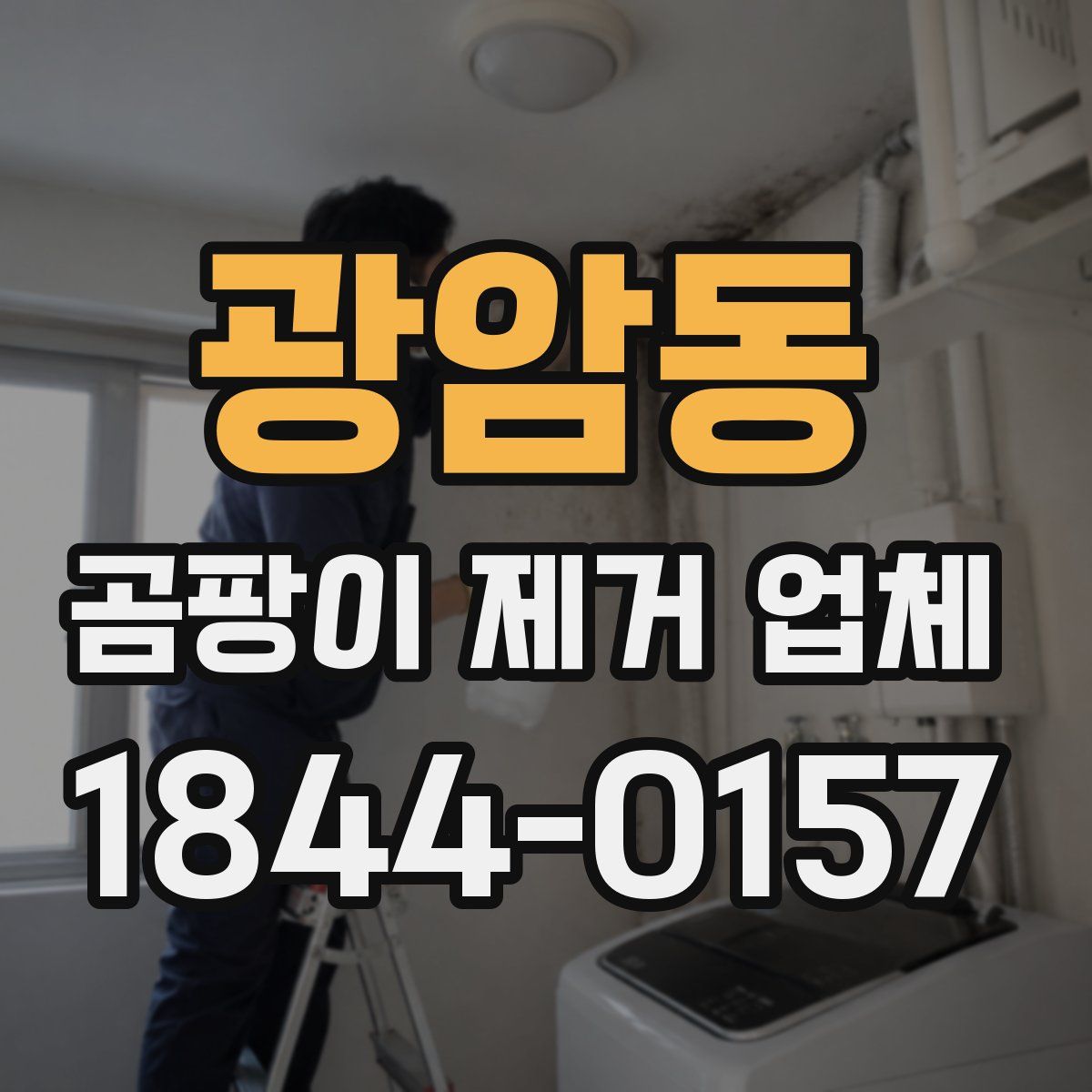 광암동 곰팡이 제거 업체