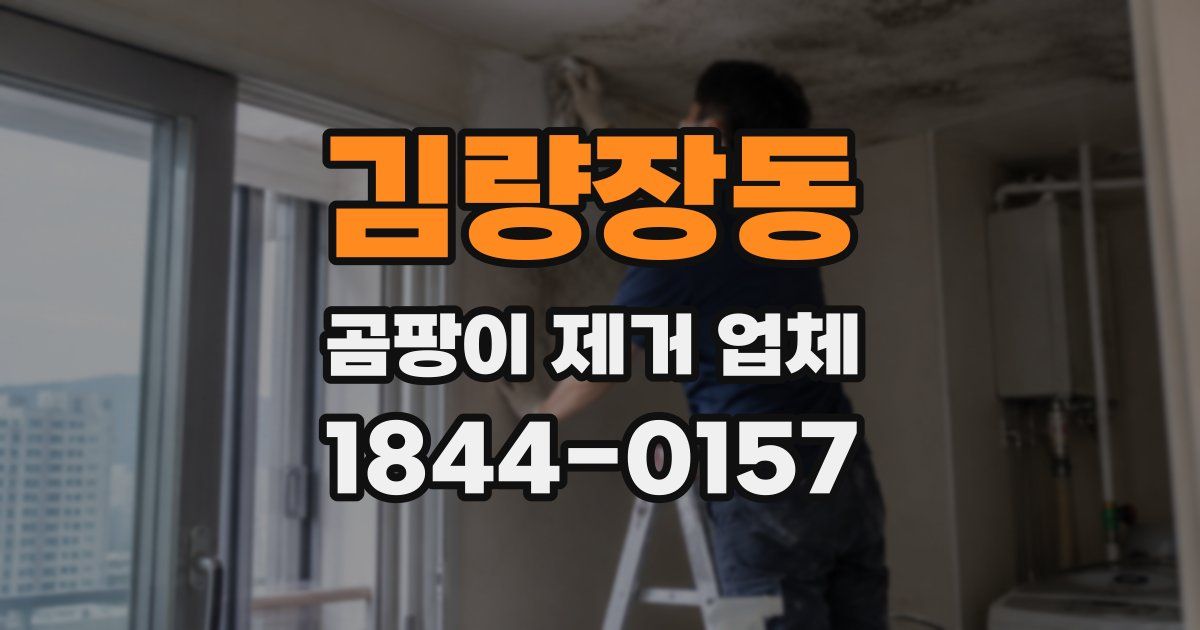 김량장동 곰팡이 제거 업체