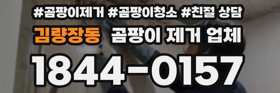김량장동 곰팡이 제거 업체
