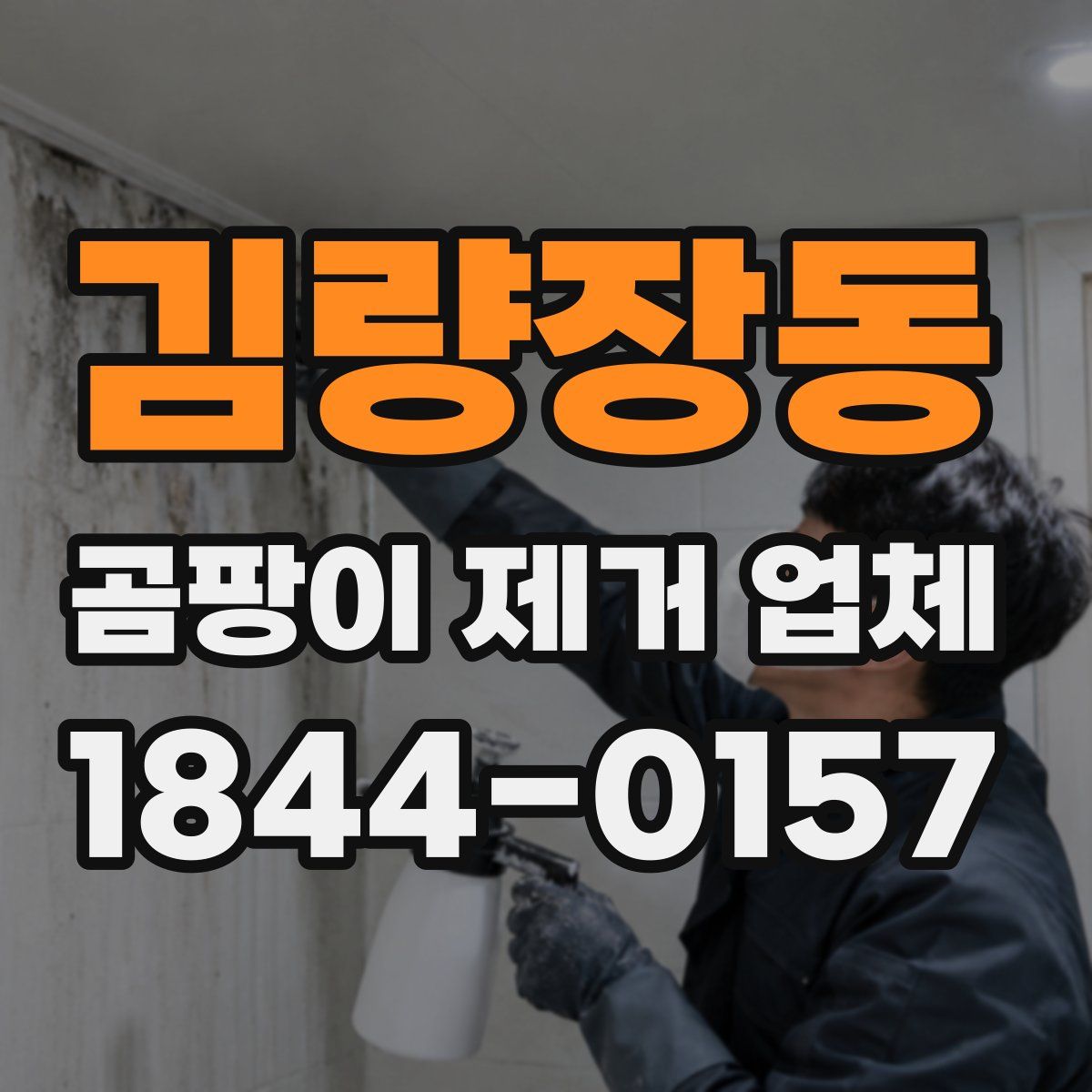 김량장동 곰팡이 제거 업체