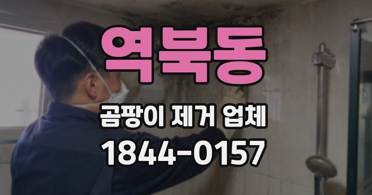 역북동 곰팡이 제거 업체