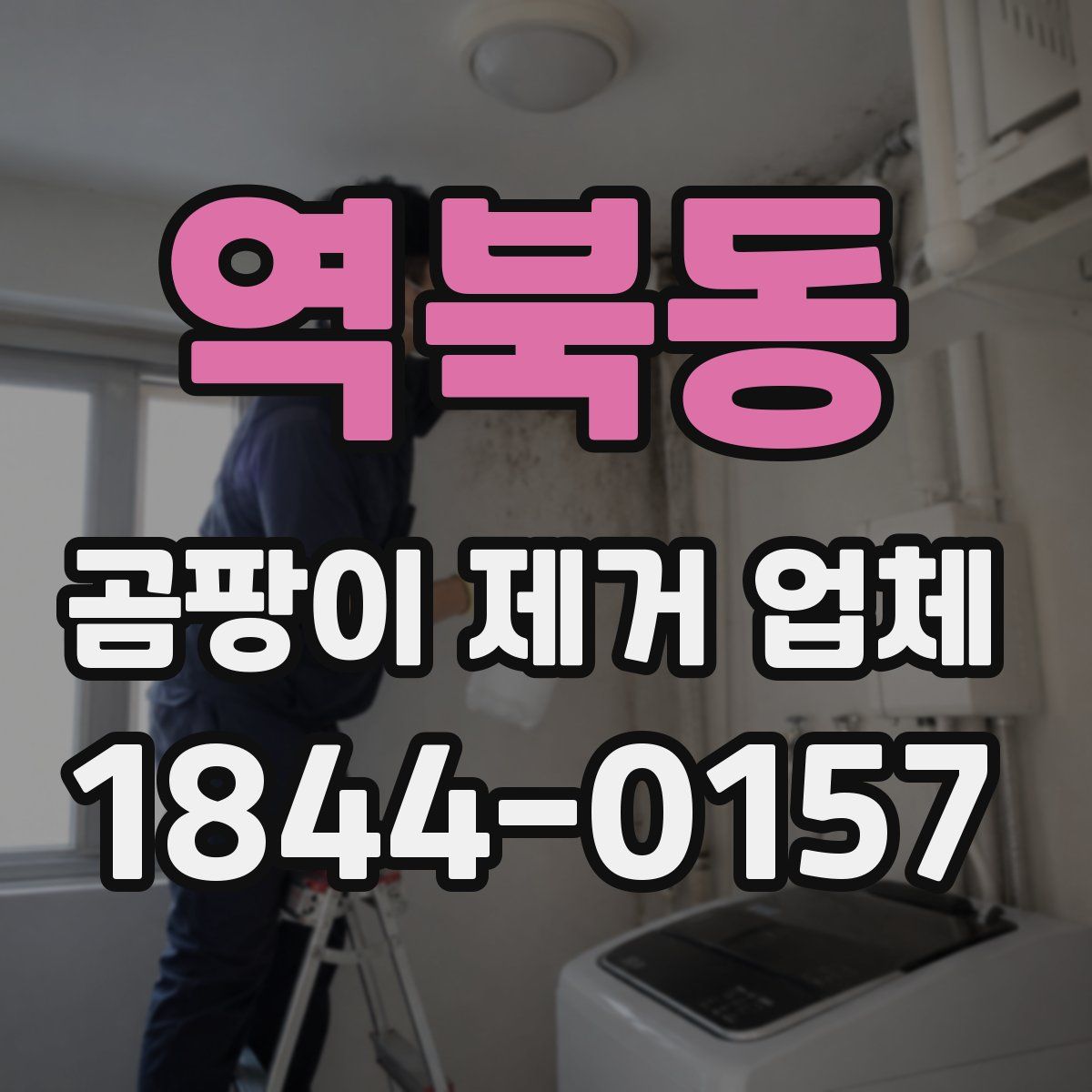 역북동 곰팡이 제거 업체