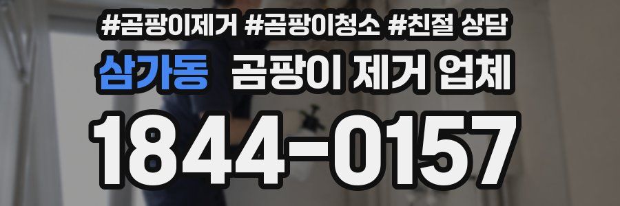 삼가동 곰팡이 제거 업체