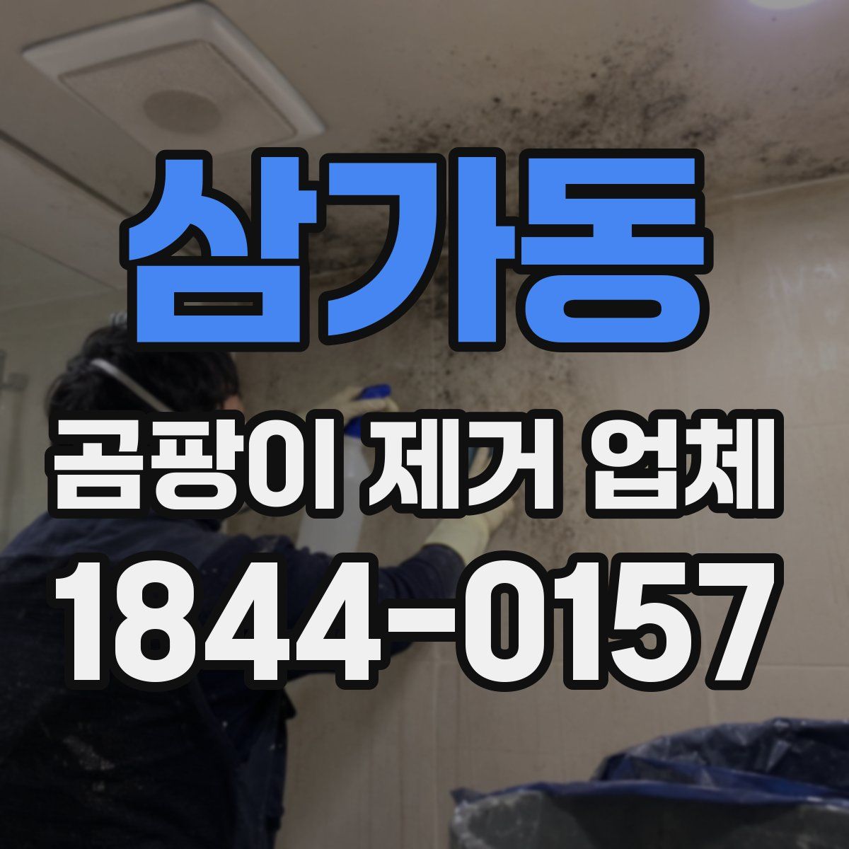 삼가동 곰팡이 제거 업체