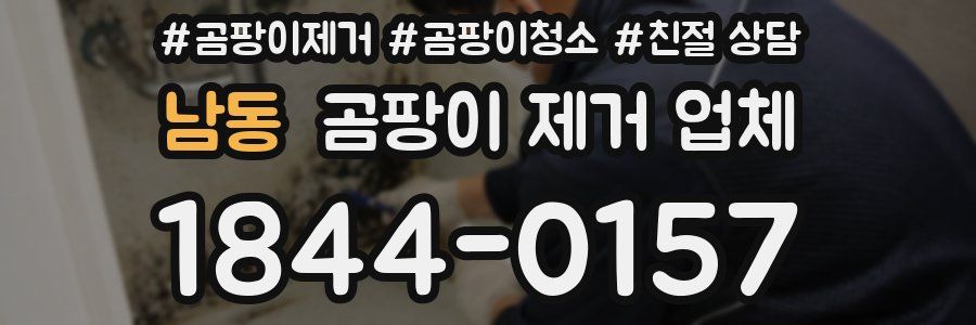 남동 곰팡이 제거 업체