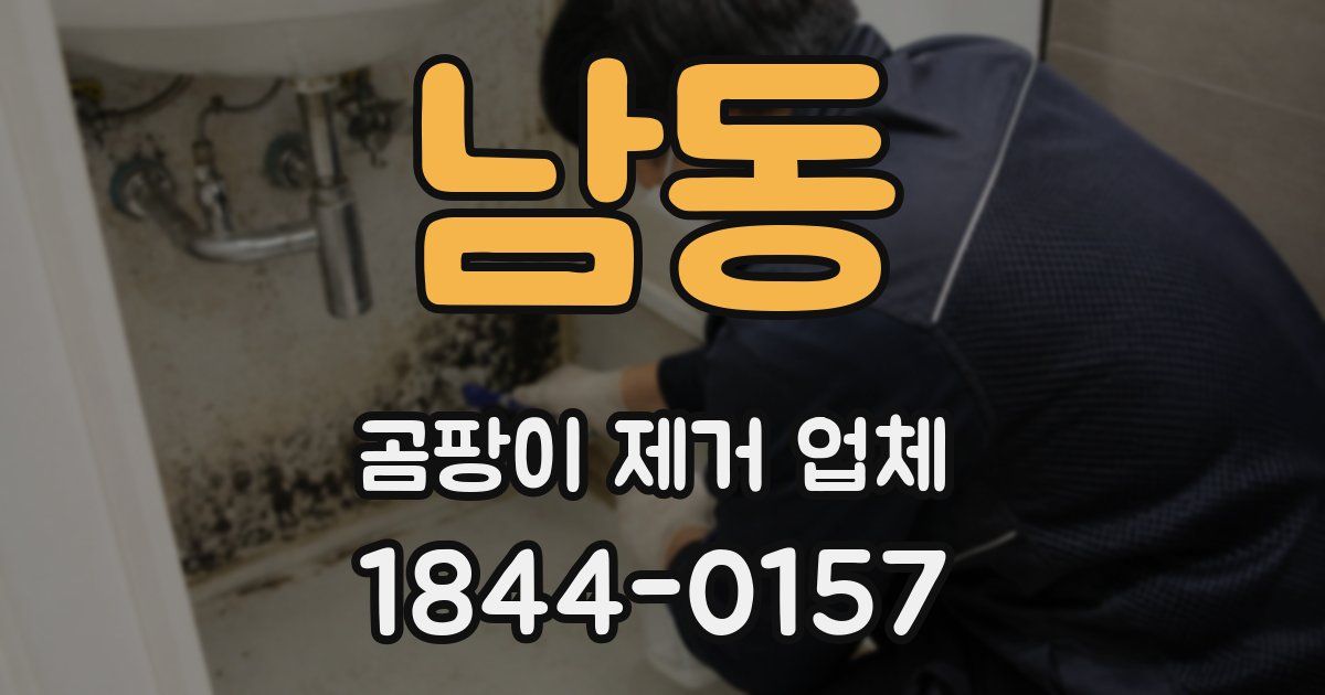 남동 곰팡이 제거 업체