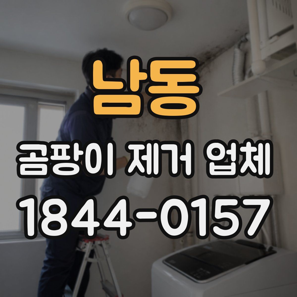 남동 곰팡이 제거 업체