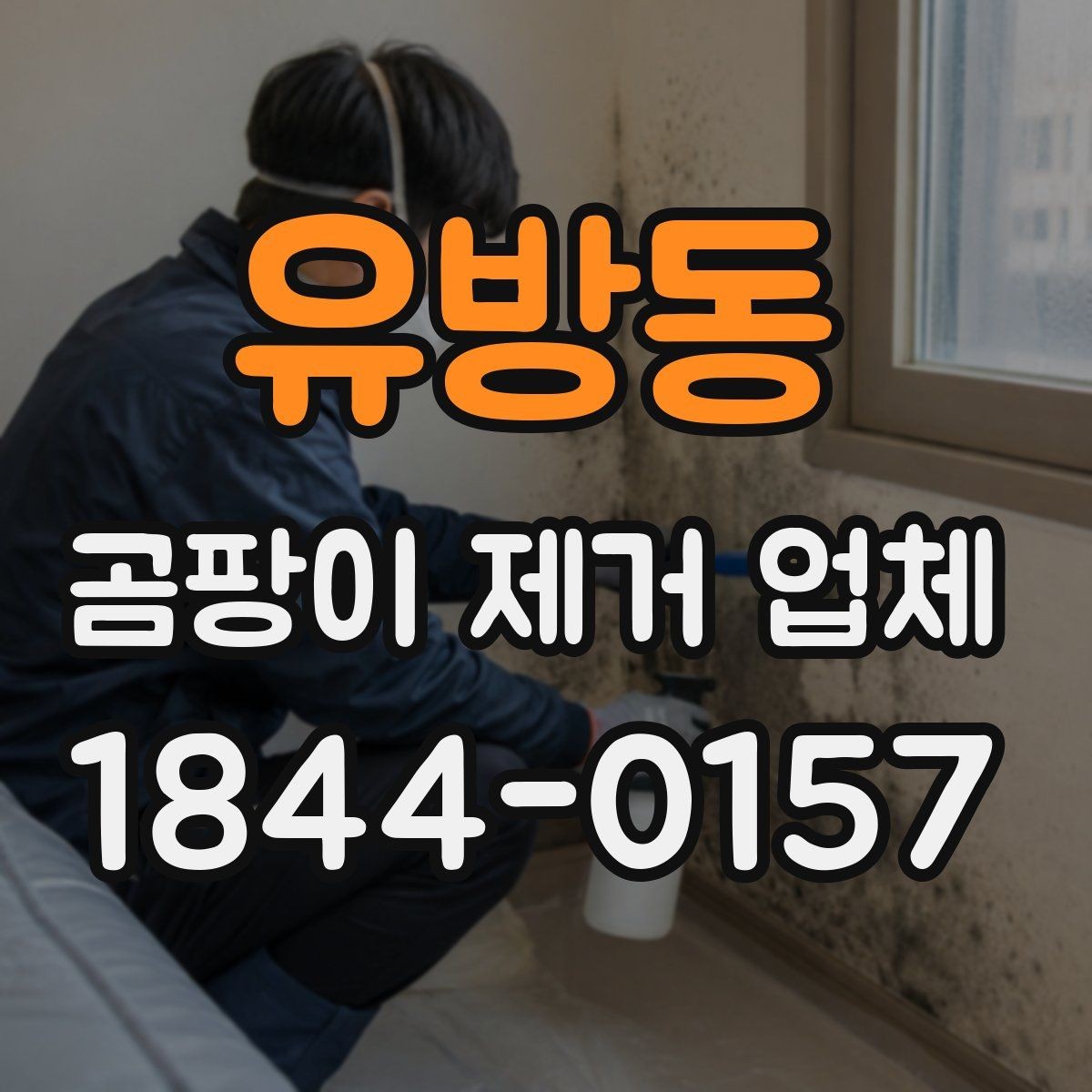 유방동 곰팡이 제거 업체 이용 시 일정 조율이 중요한 이유