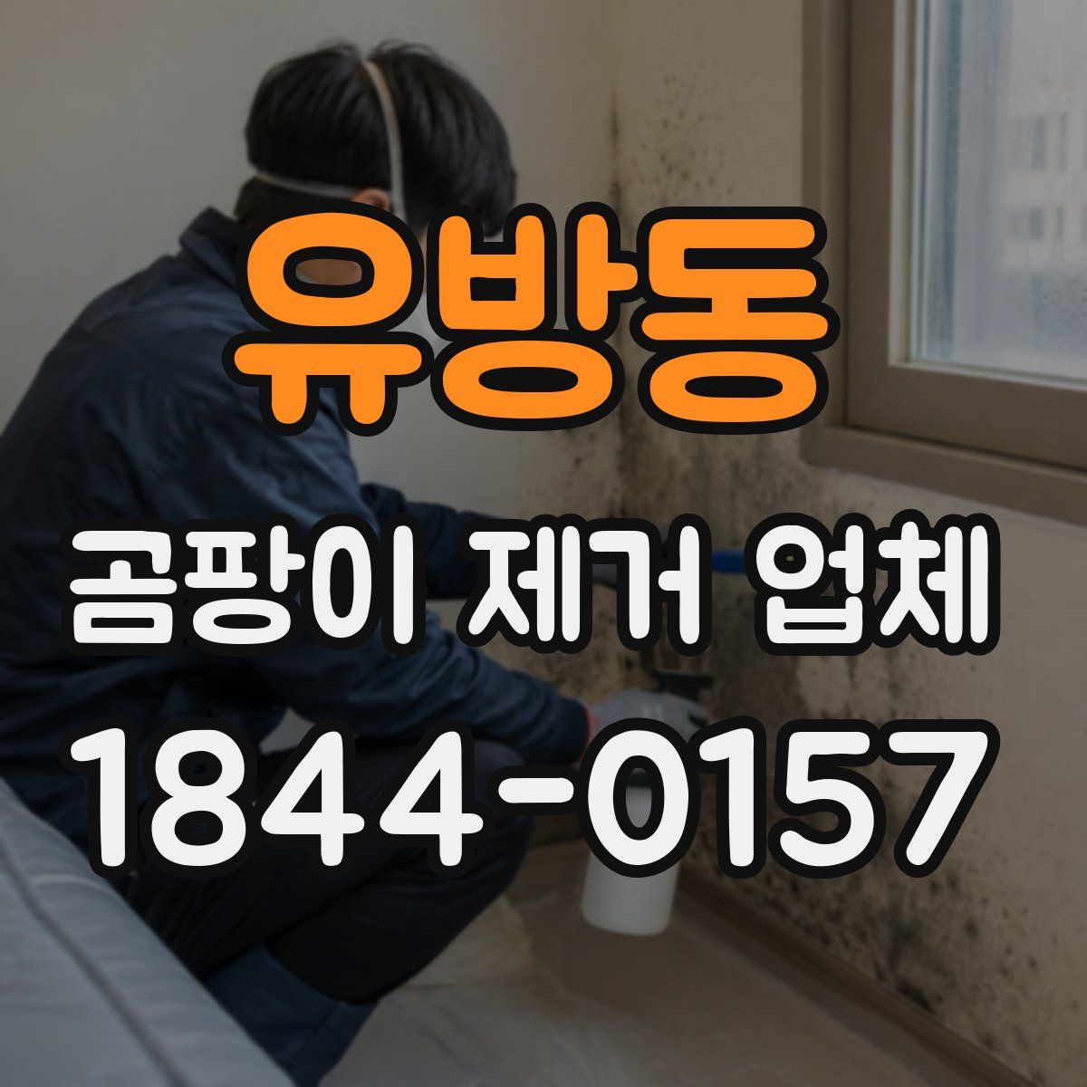 유방동 곰팡이 제거 업체