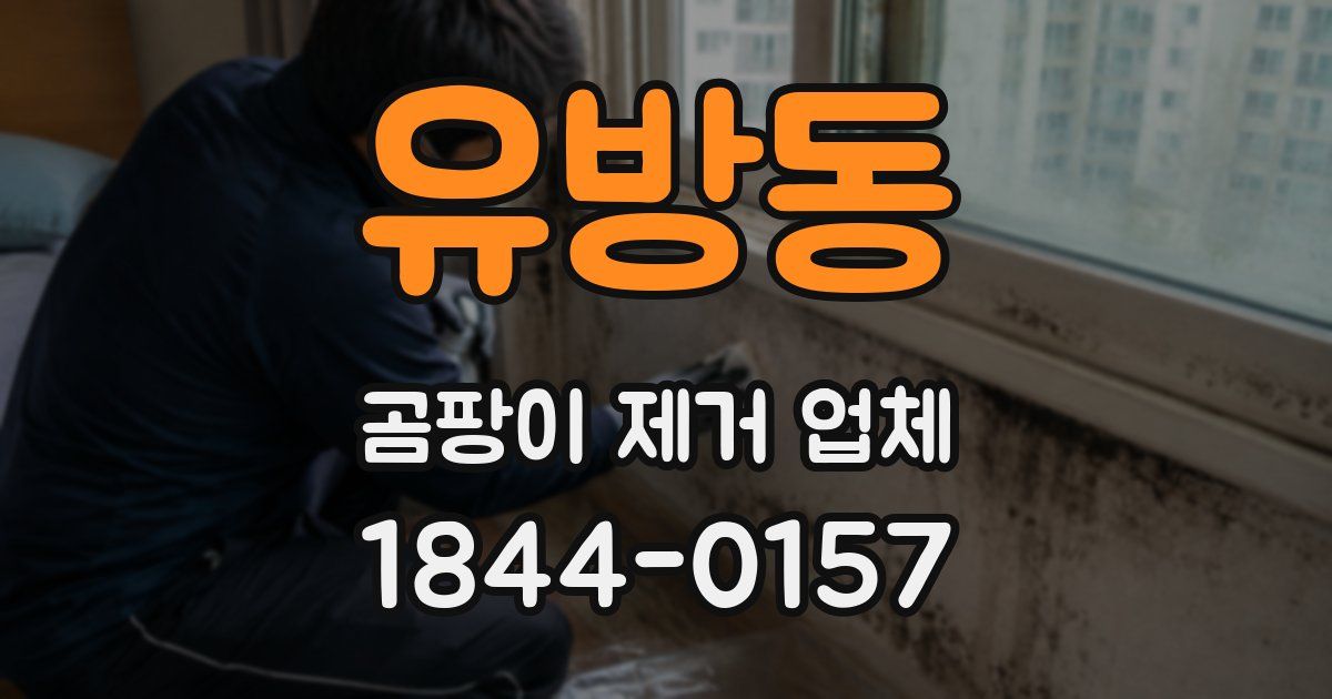유방동 곰팡이 제거 업체