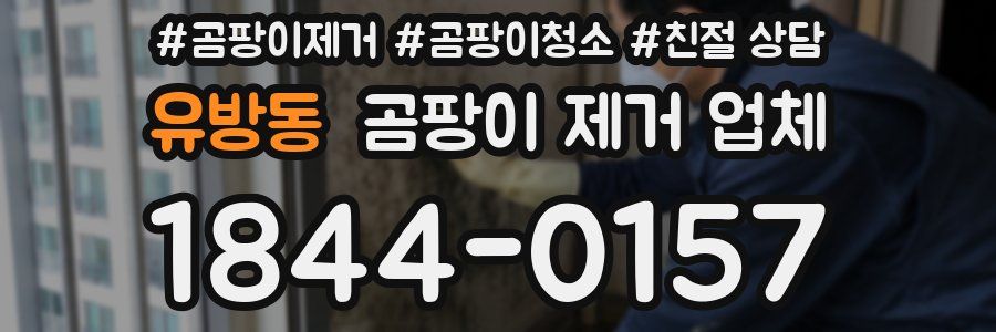 유방동 곰팡이 제거 업체