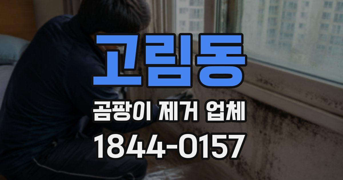 고림동 곰팡이 제거 업체