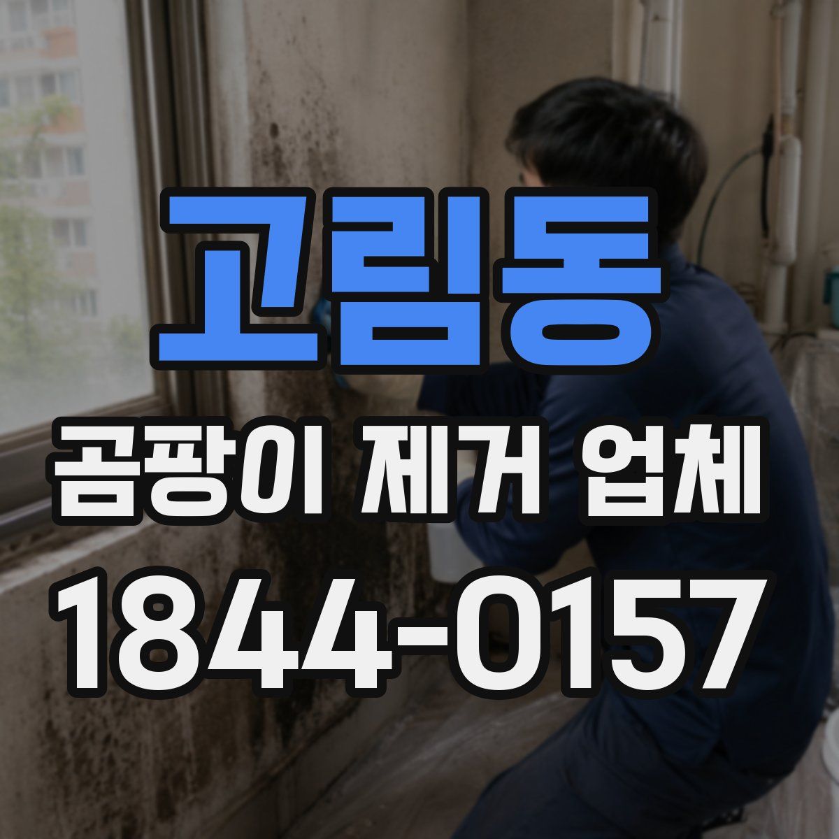 고림동 곰팡이 제거 업체