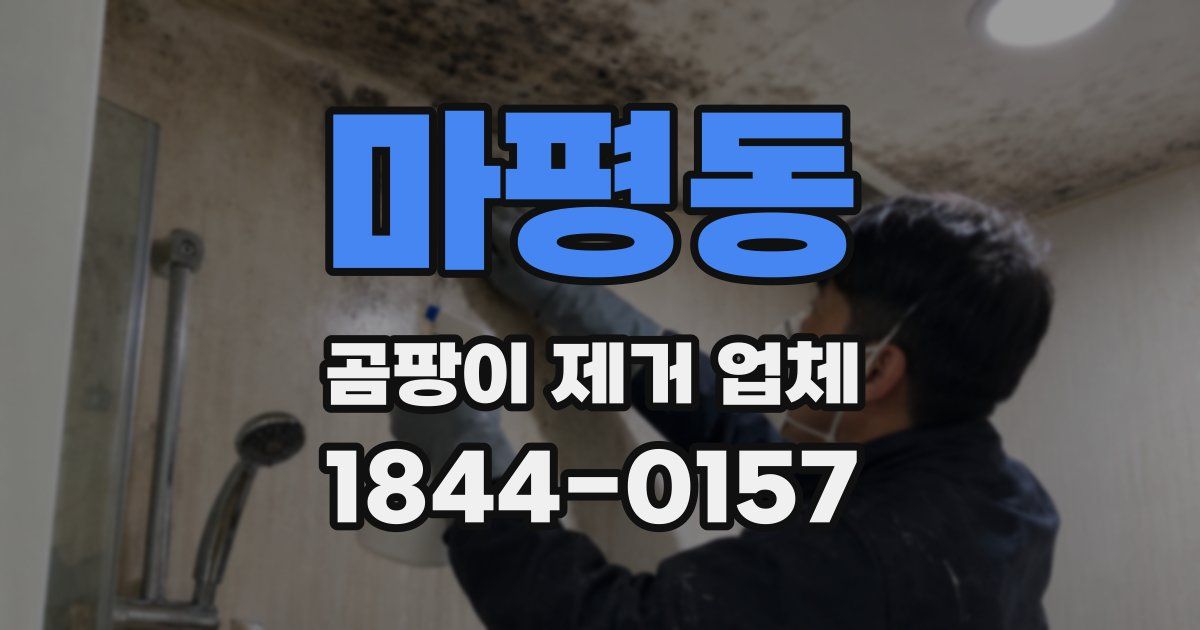 마평동 곰팡이 제거 업체