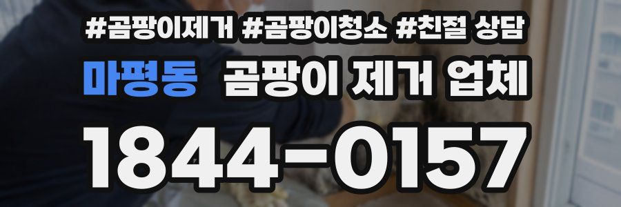마평동 곰팡이 제거 업체