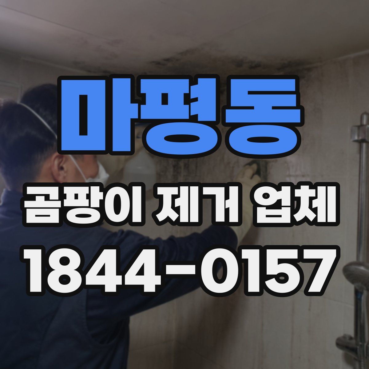 마평동 곰팡이 제거 업체