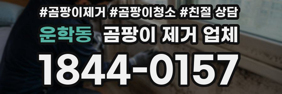 운학동 곰팡이 제거 업체