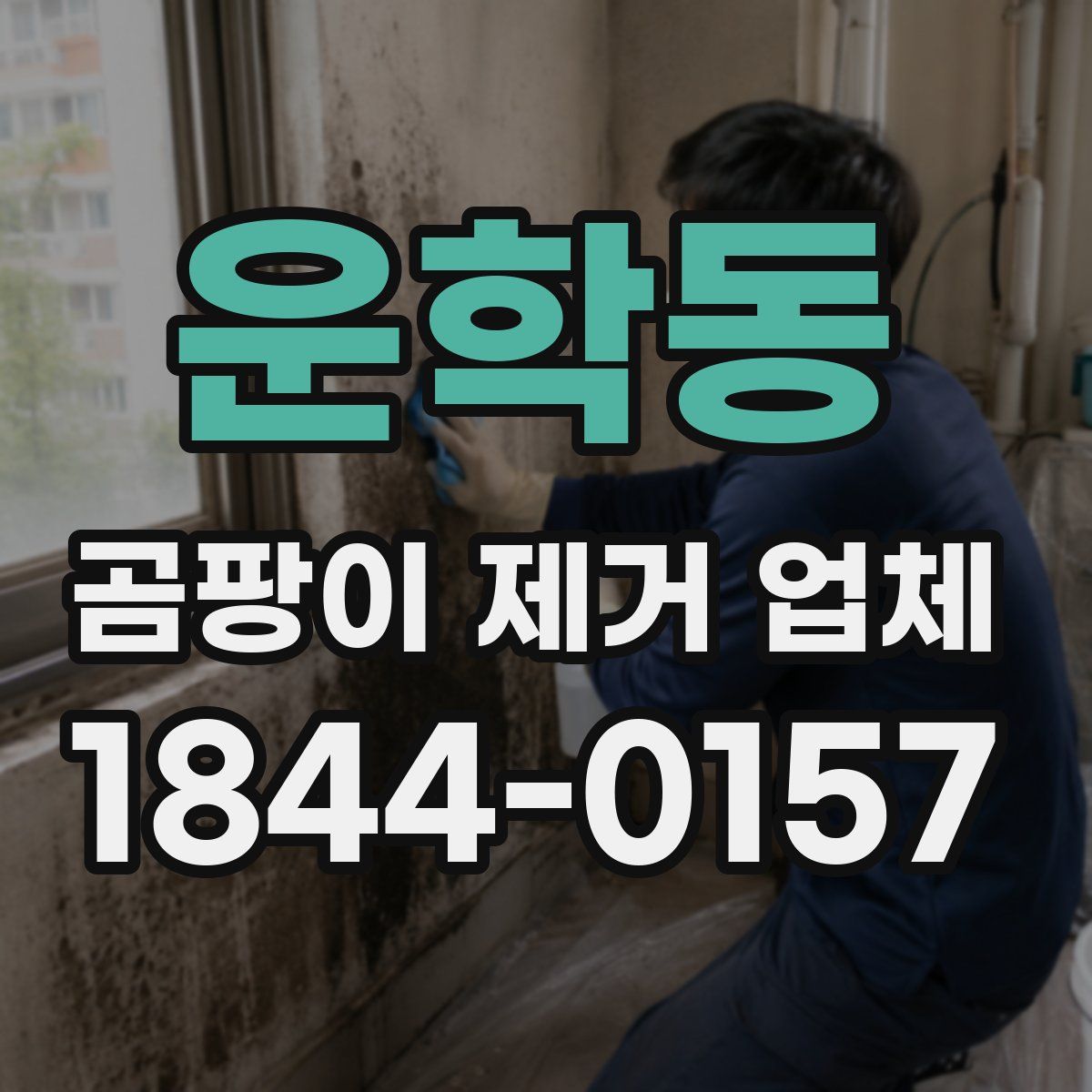 운학동 곰팡이 제거 업체