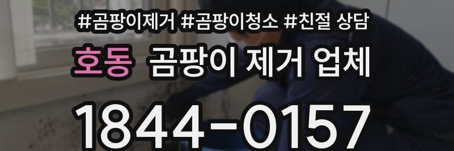 호동 곰팡이 제거 업체