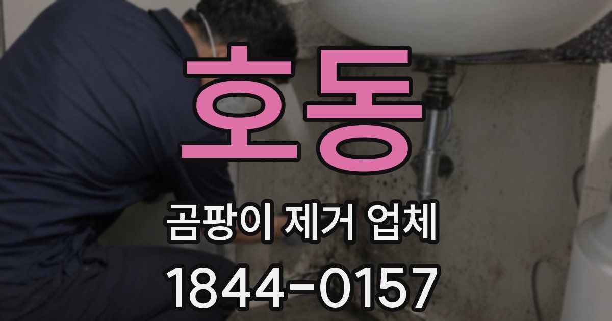 호동 곰팡이 제거 업체