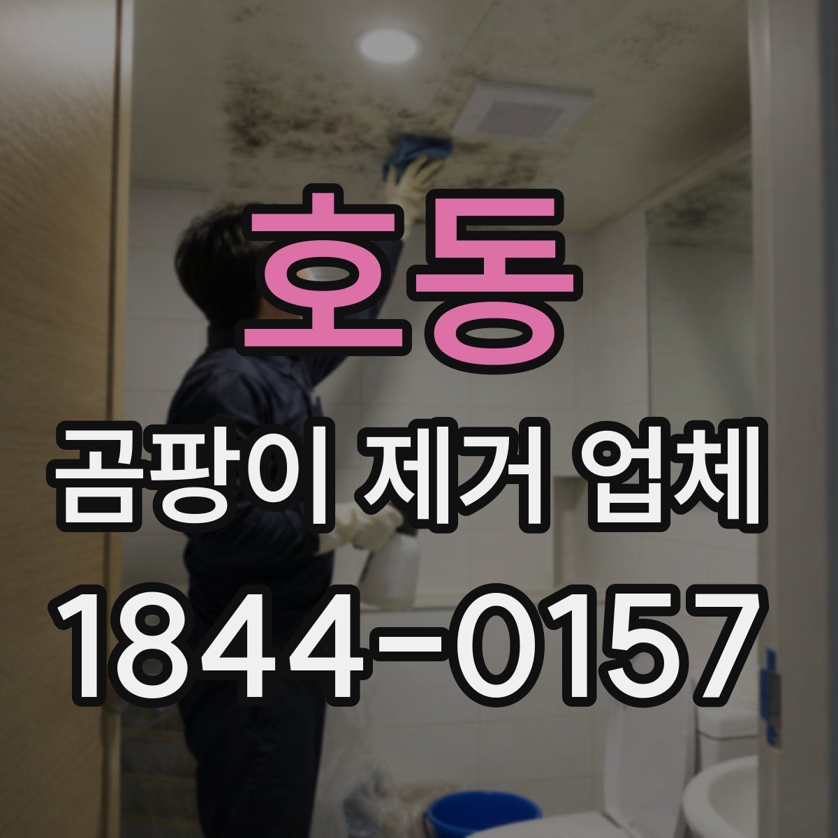 호동 곰팡이 제거 업체