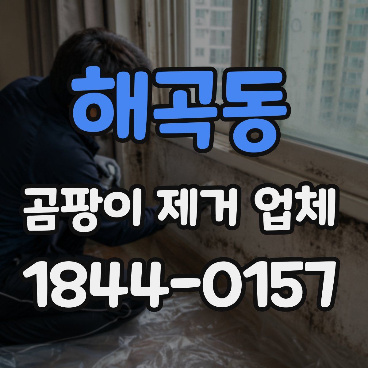 해곡동 곰팡이 제거 업체