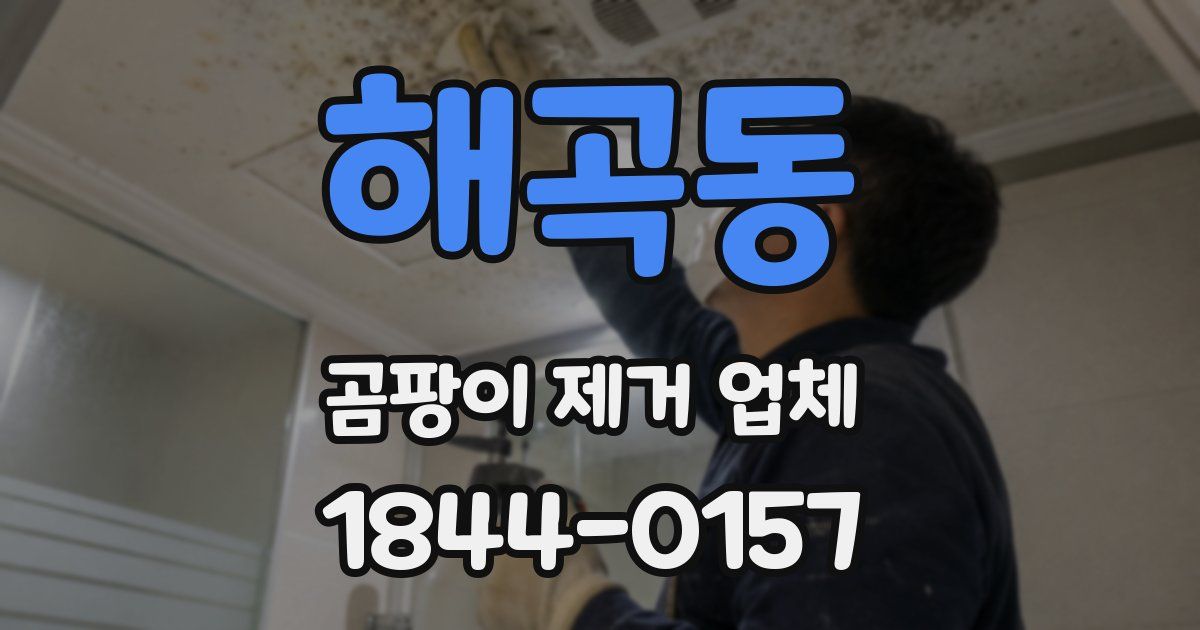 해곡동 곰팡이 제거 업체