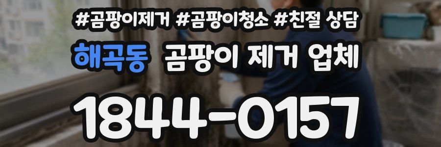 해곡동 곰팡이 제거 업체