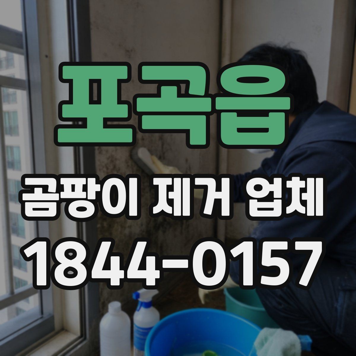 포곡읍 곰팡이 제거 업체 시공 사례로 보는 진행 방식