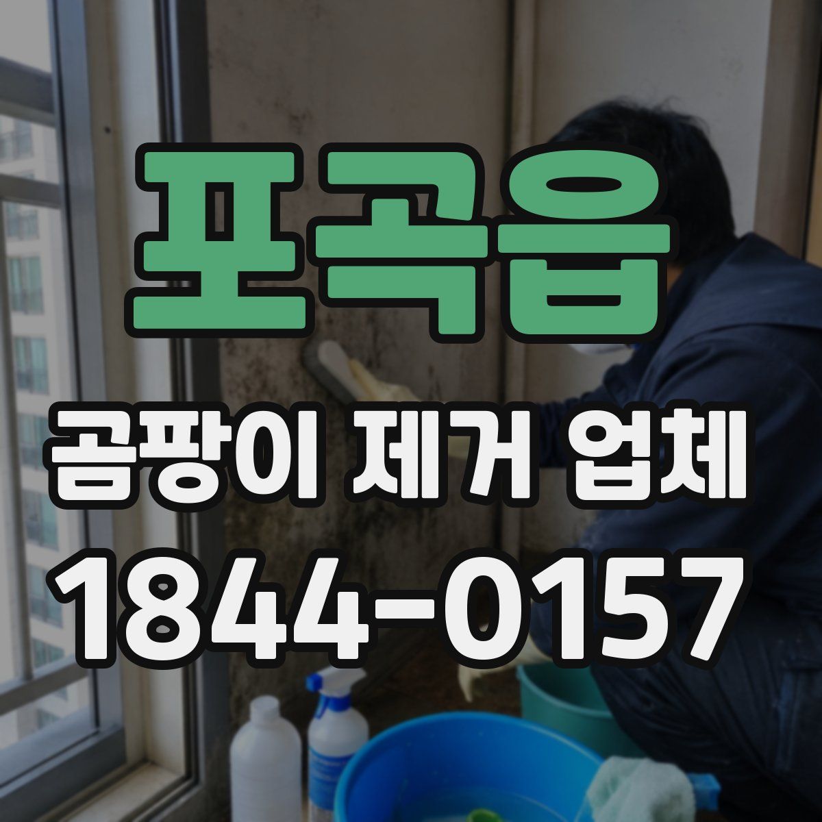 포곡읍 곰팡이 제거 업체