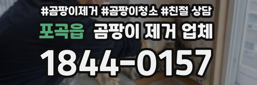 포곡읍 곰팡이 제거 업체