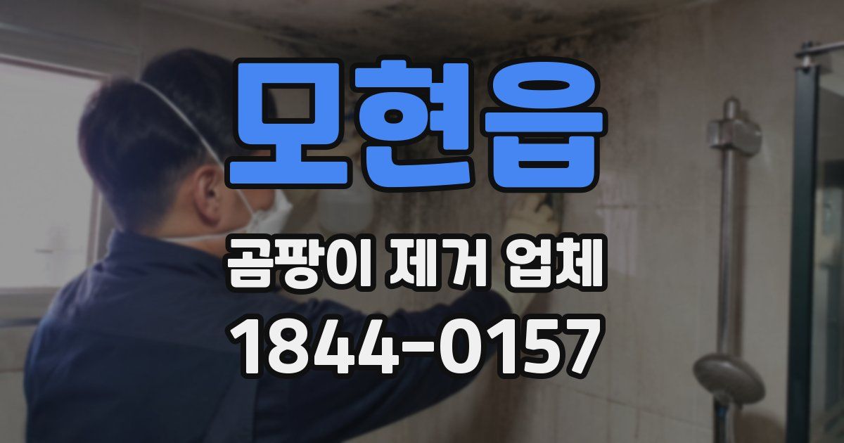 모현읍 곰팡이 제거 업체