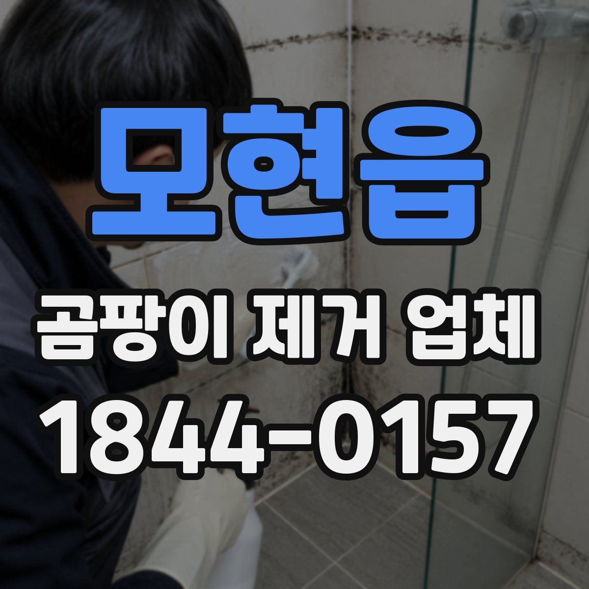모현읍 곰팡이 제거 업체