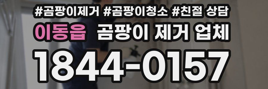 이동읍 곰팡이 제거 업체