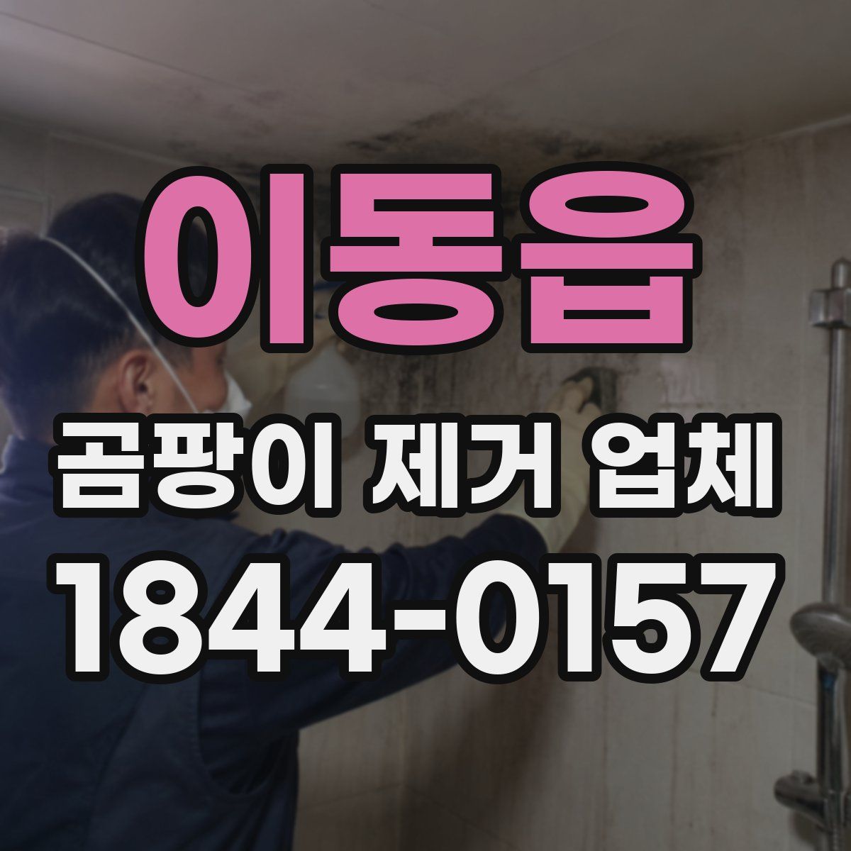 이동읍 곰팡이 제거 업체