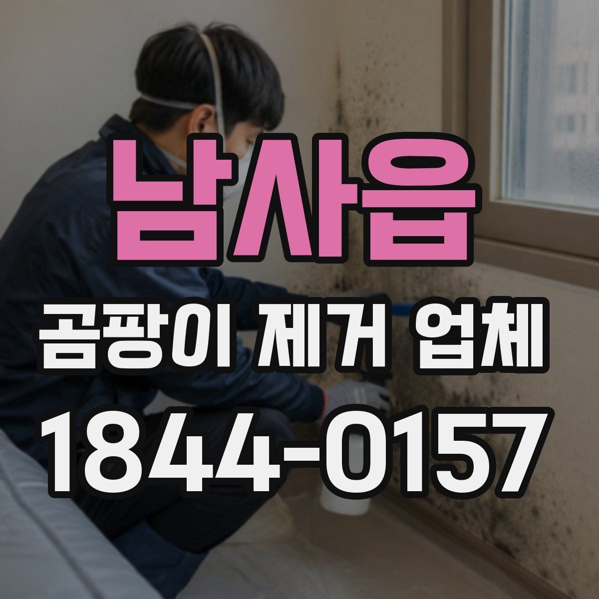 남사읍 곰팡이 제거 업체