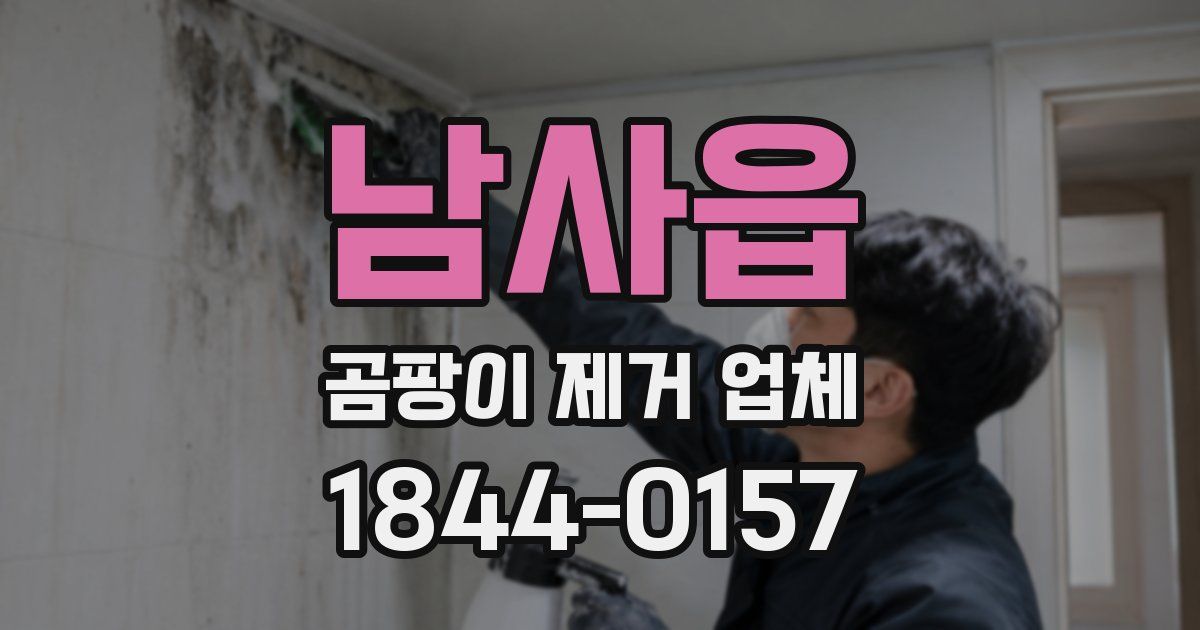 남사읍 곰팡이 제거 업체