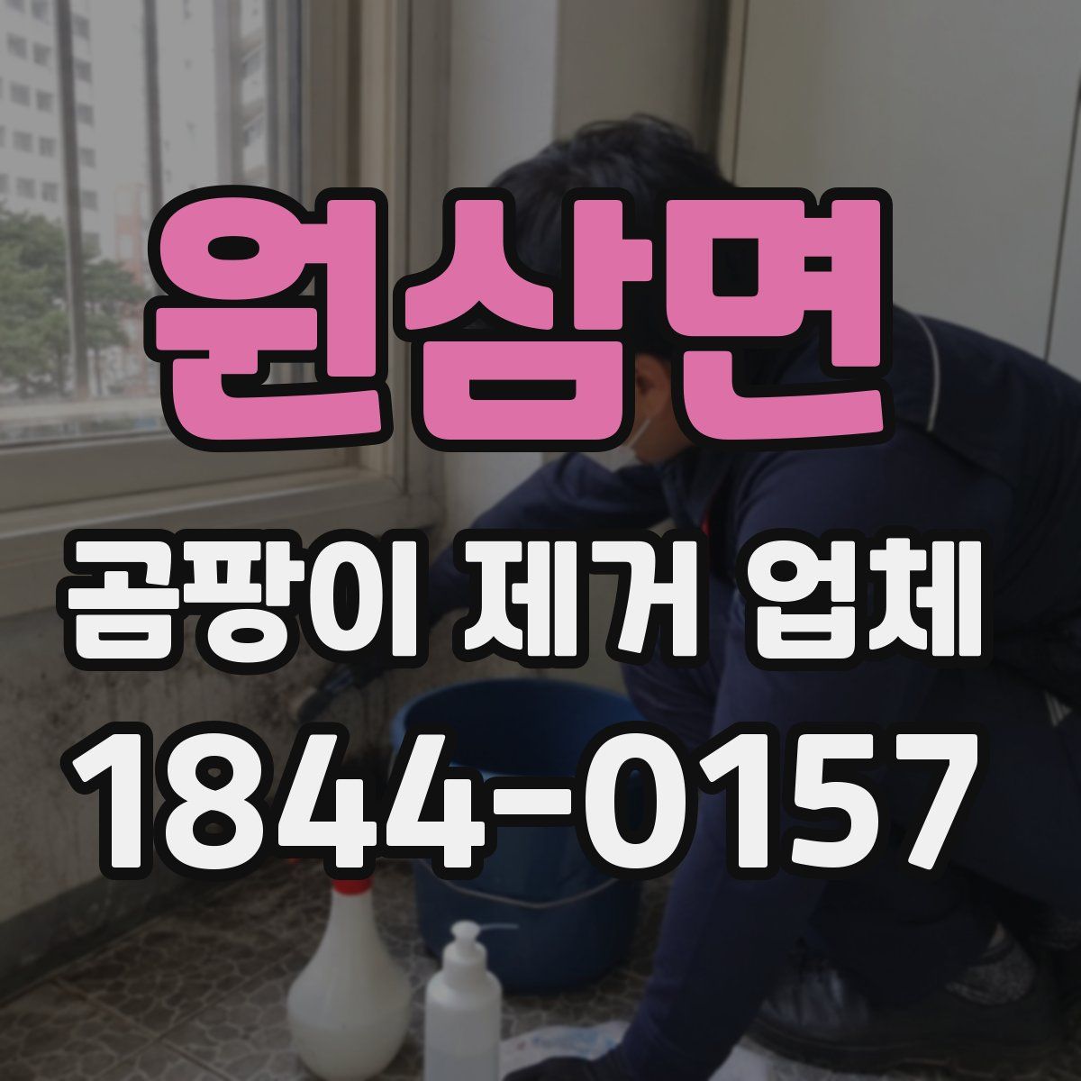 원삼면 곰팡이 제거 업체