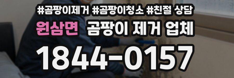 원삼면 곰팡이 제거 업체