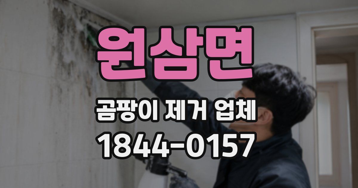 원삼면 곰팡이 제거 업체