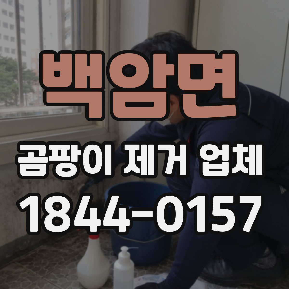 백암면 곰팡이 제거 업체