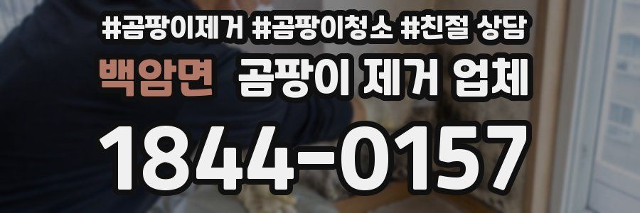 백암면 곰팡이 제거 업체