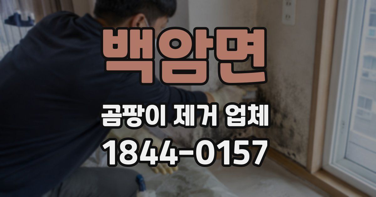 백암면 곰팡이 제거 업체
