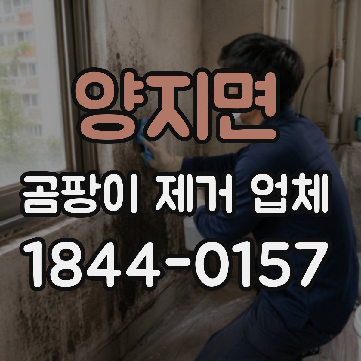 양지면 곰팡이 제거 업체
