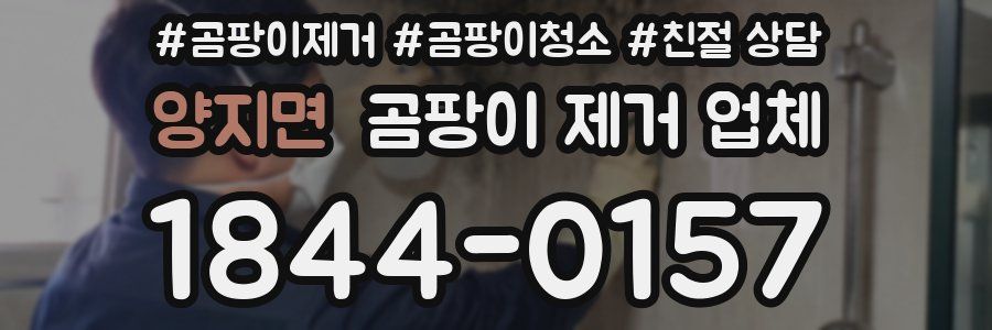 양지면 곰팡이 제거 업체