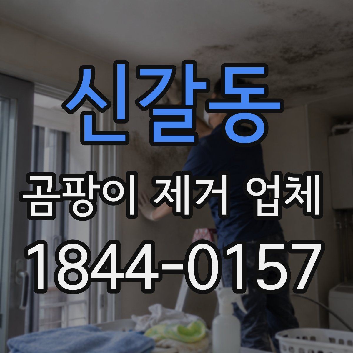 신갈동 곰팡이 제거 업체 작업 후 재발을 막는 관리법